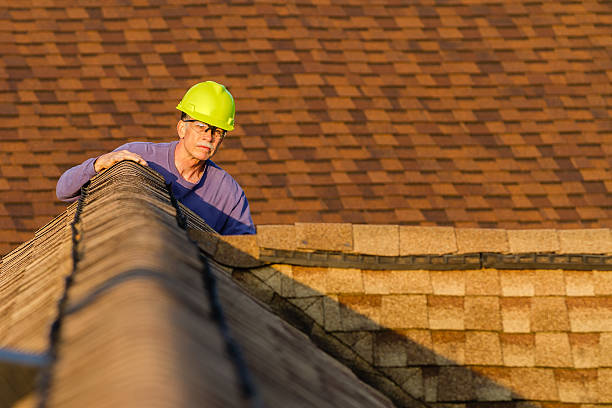 Best Roof Repair Services  in De Kal, TX