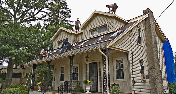 Best Roof Gutter Cleaning  in De Kal, TX